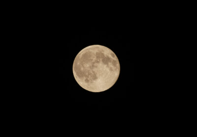 中秋の名月🌕️✨