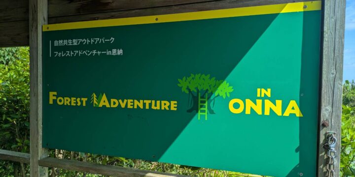 🌳レクリエーション✨