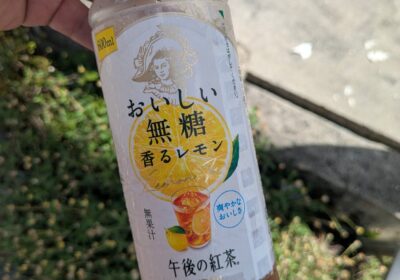 差し入れ✨
