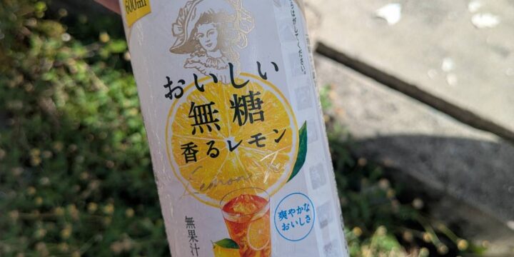 差し入れ✨