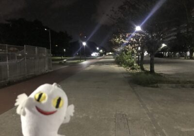 早朝ジョギング