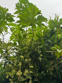 自然の中に逞しく