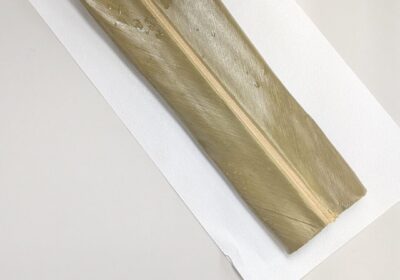 ムーチーを一足先に