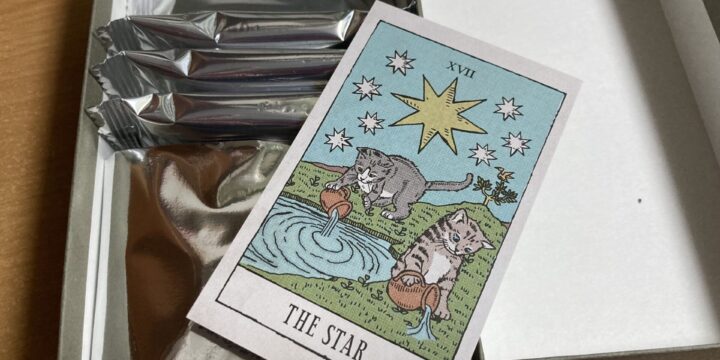 星と猫